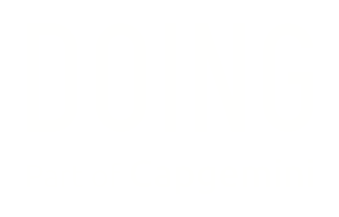 doing_capgemini_white logo